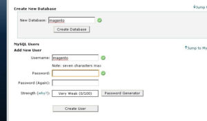 create database 300x176 - How to Migrate Website From One Hosting to Another without Downtime