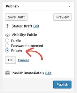 how to create a private post in WordPress 248x300 - How to Create a Private Post in WordPress
