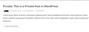 private post view 300x110 - How to Create a Private Post in WordPress